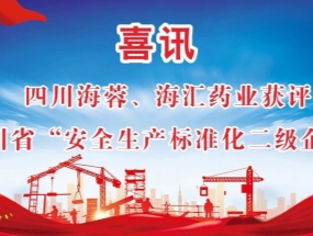 海蓉、海匯藥業(yè)獲評(píng)“安全生產(chǎn)標(biāo)準(zhǔn)化二級(jí)企業(yè)”